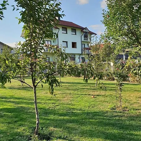 Alibey Bugojno